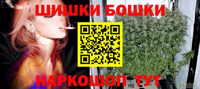твердый Новозыбков