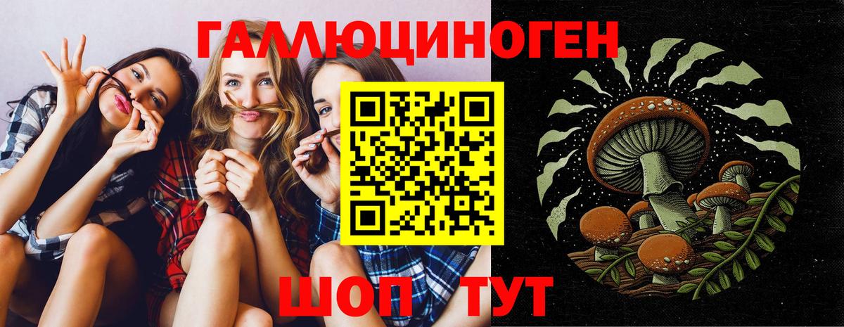 Псилоцибиновые грибы Cubensis Сыктывкар